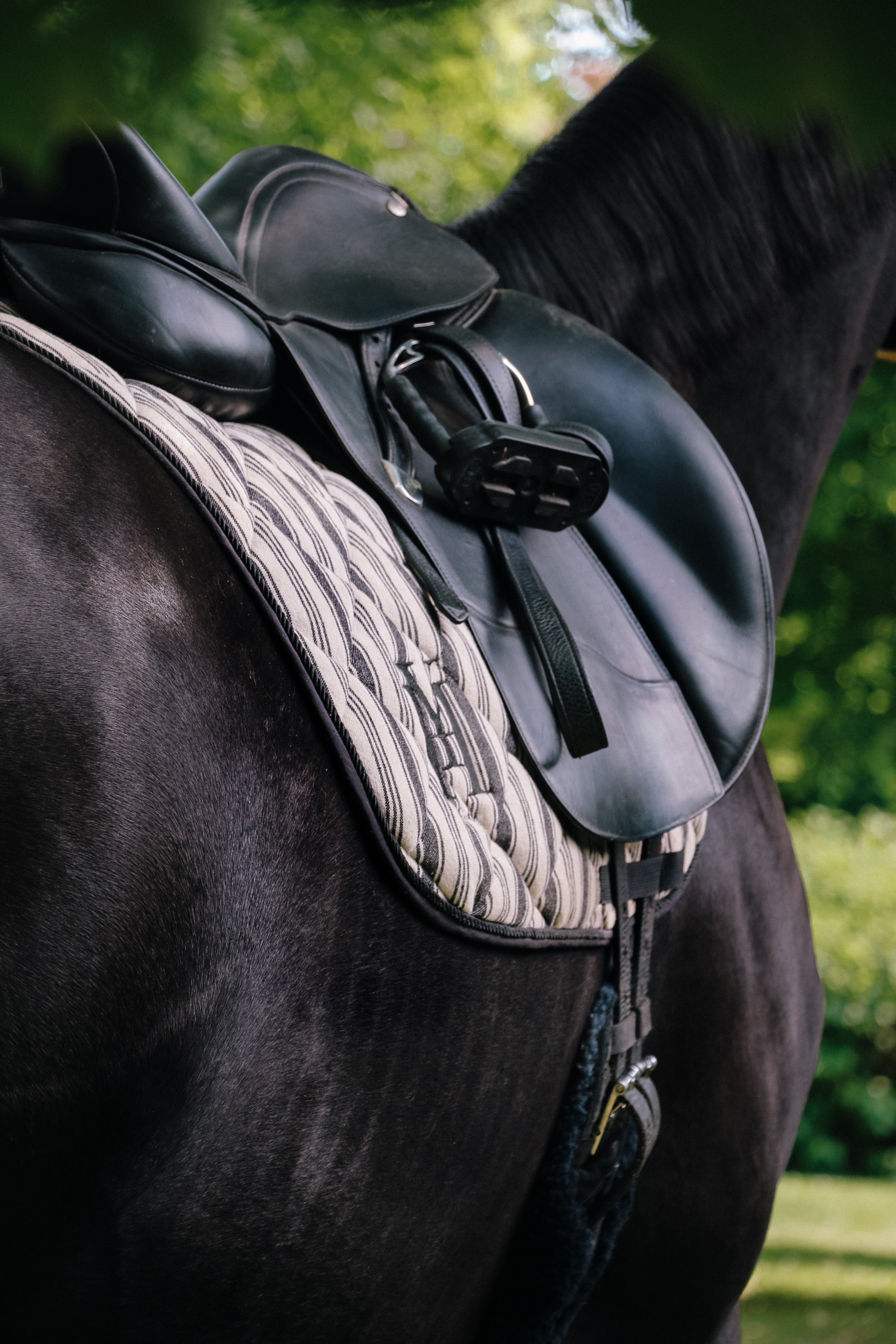 Tapis rayé dressage