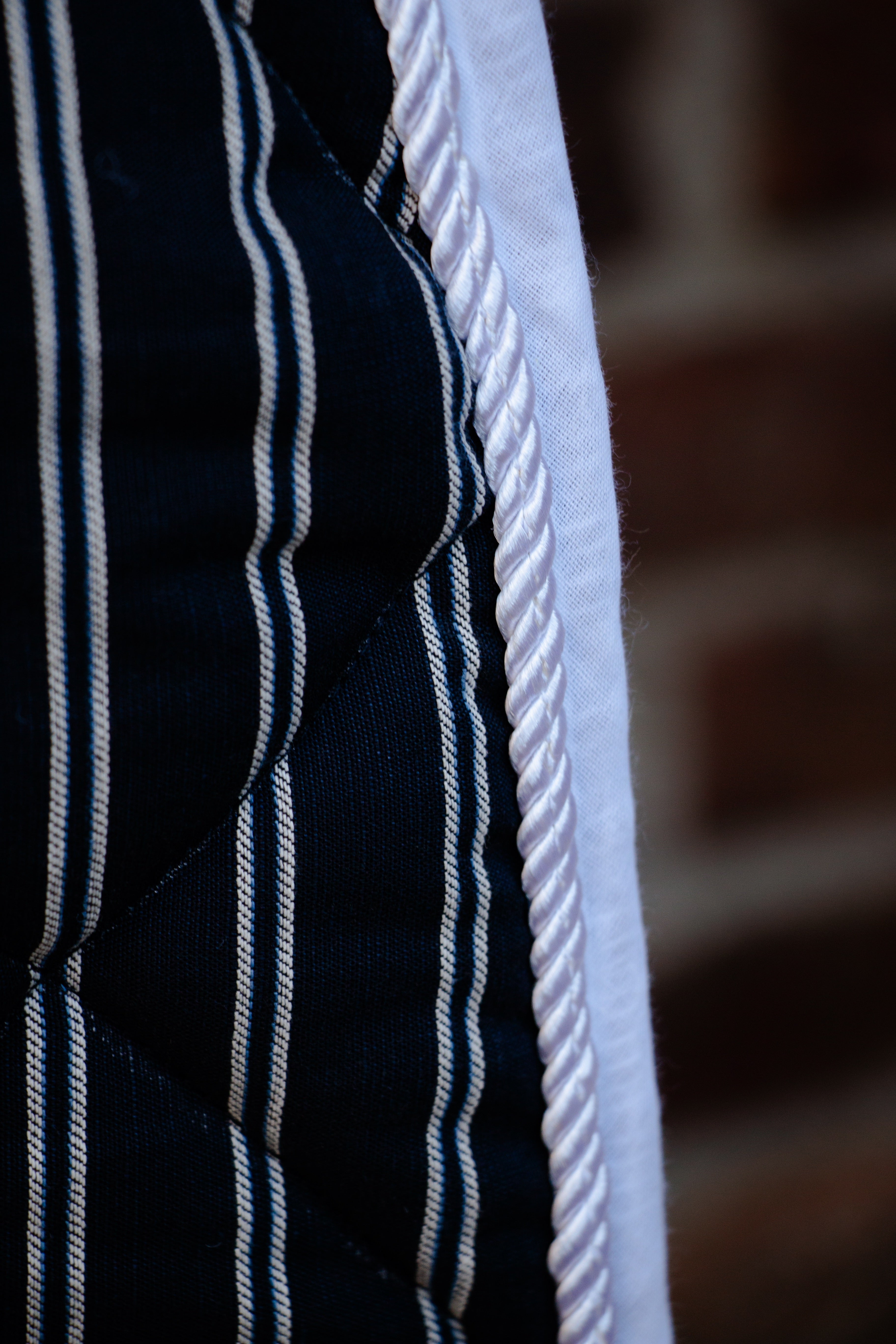 Tapis rayé marine dressage