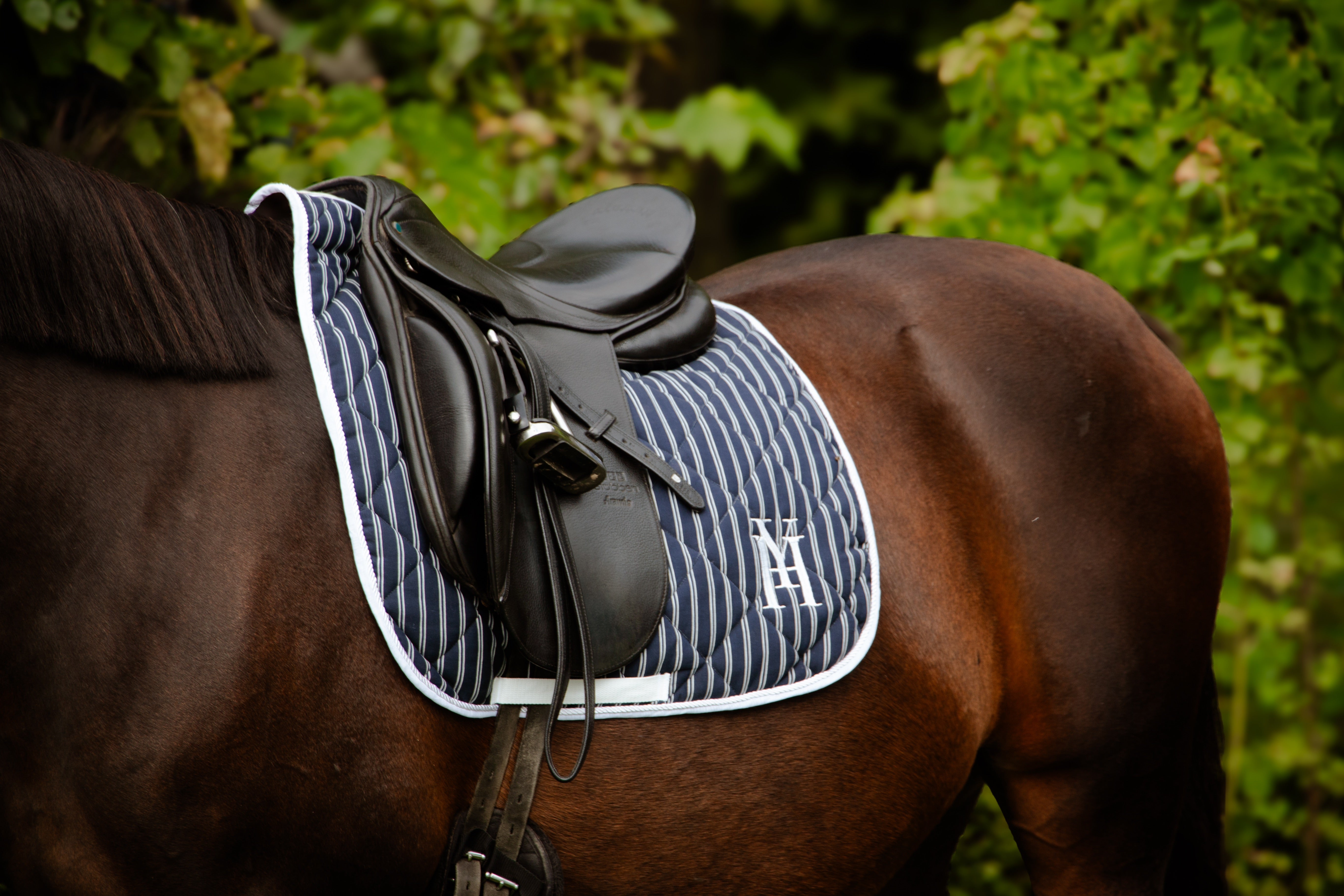 Tapis rayé marine dressage