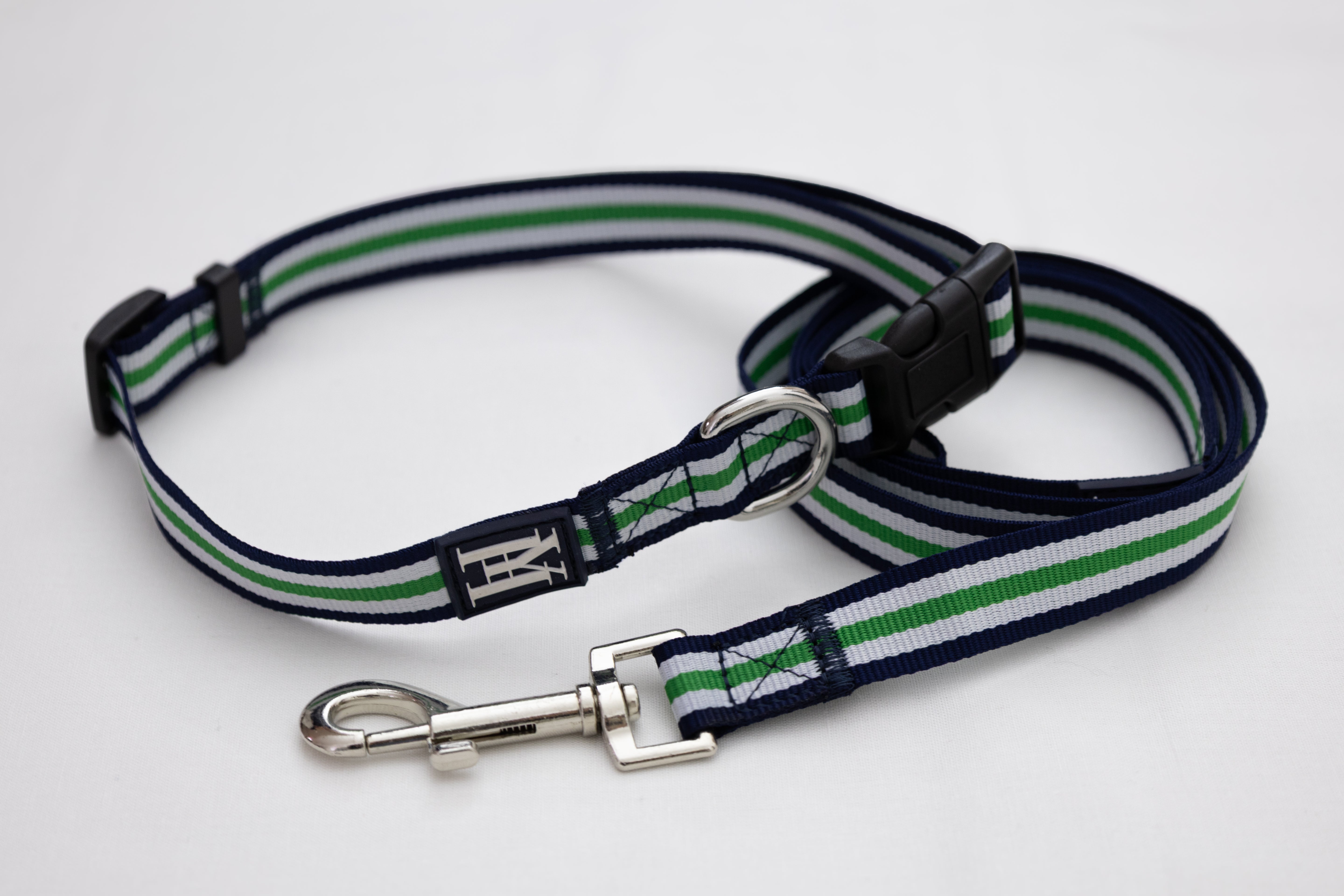 Collier et laisse tennis