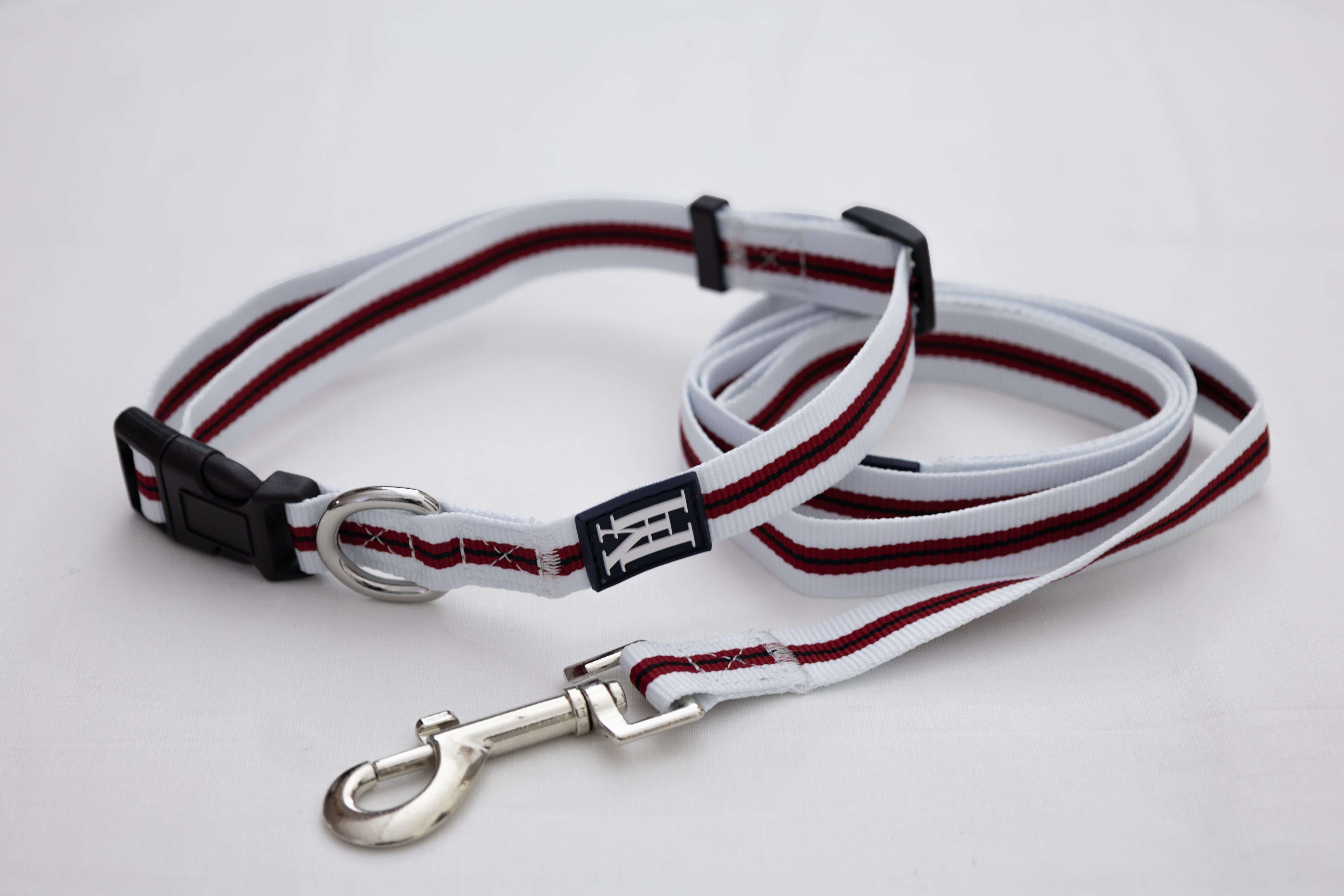 Collier et laisse rouge et blanc