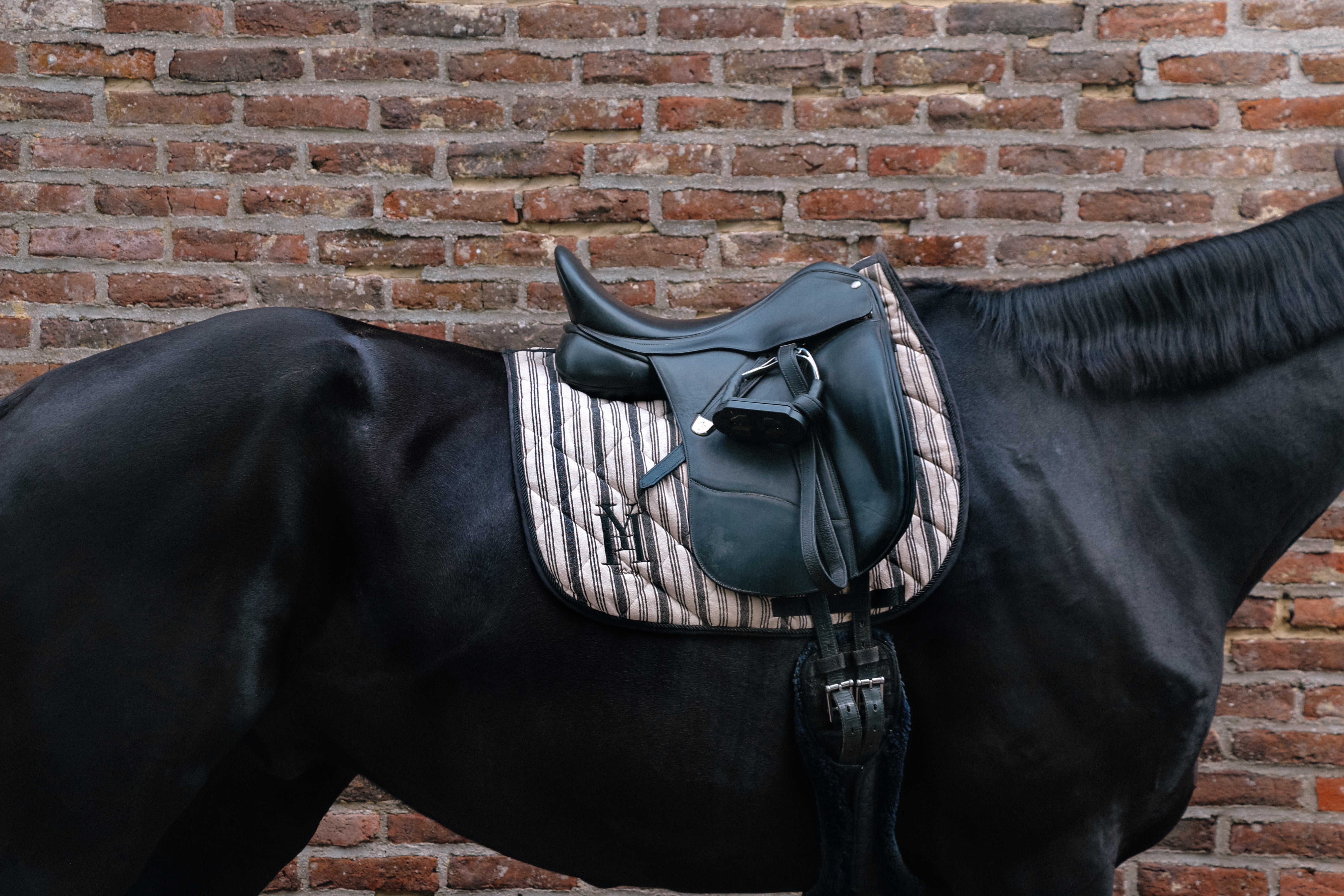 Tapis rayé dressage