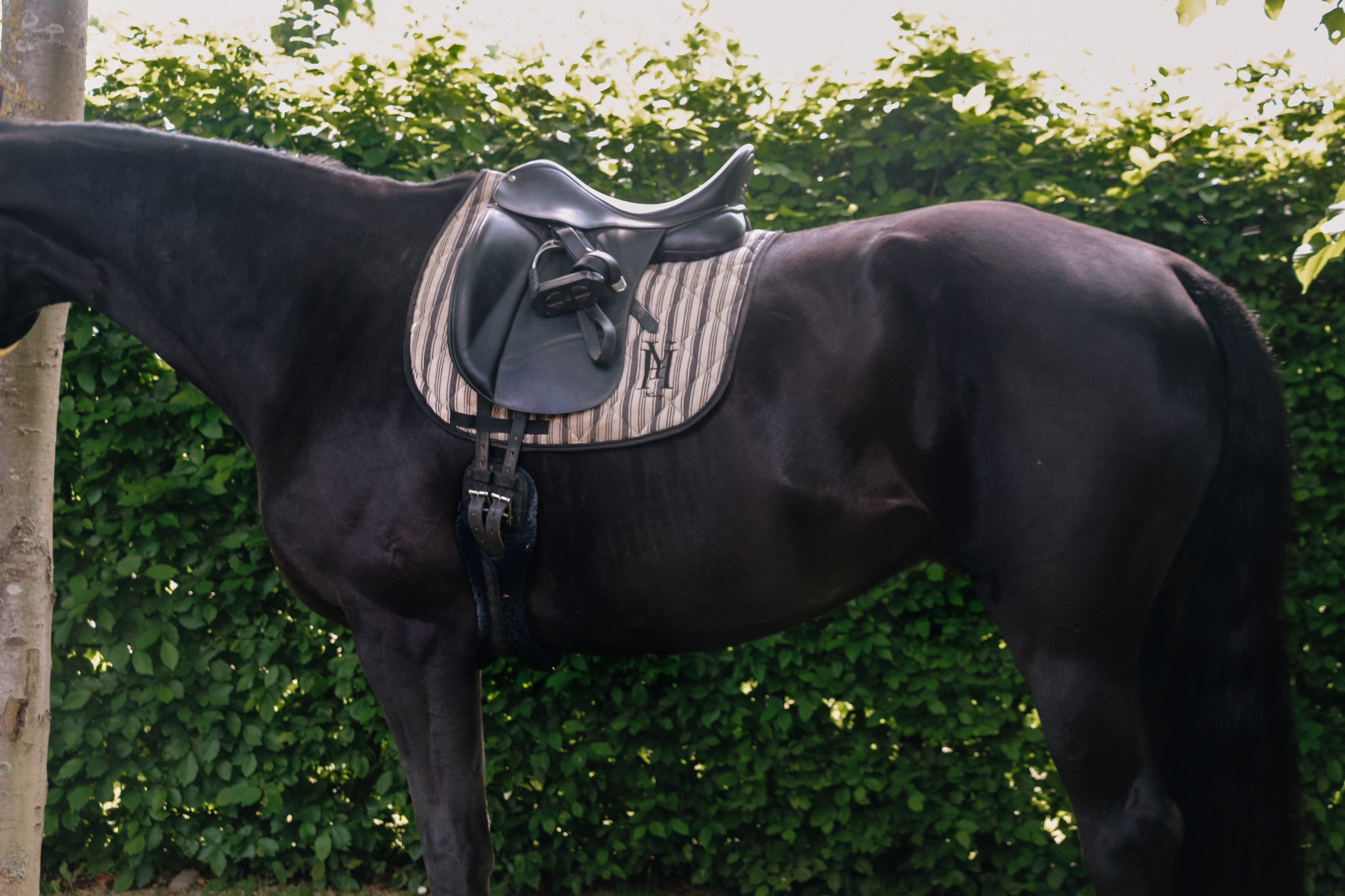 Striped saddle pad
