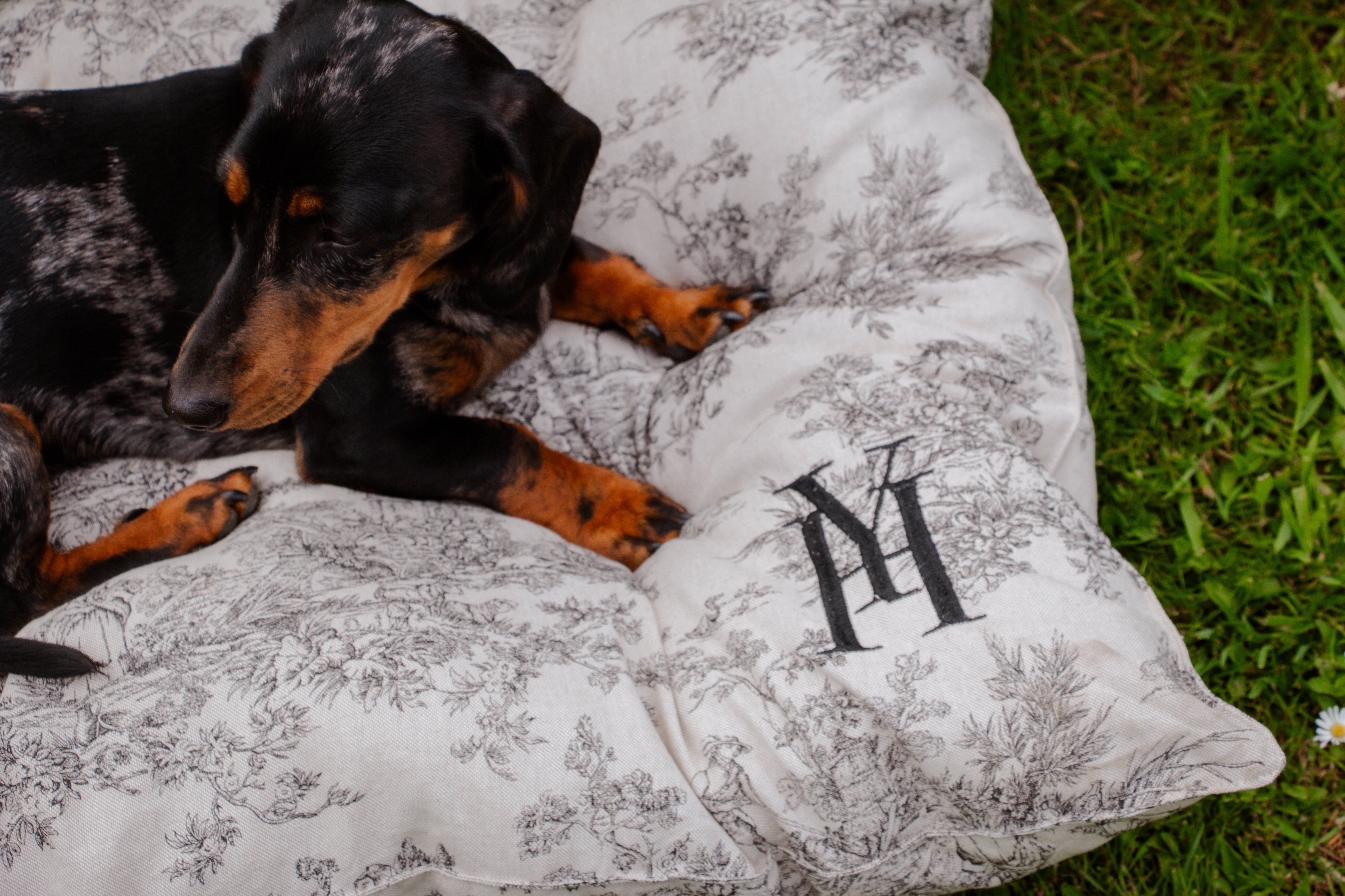 Coussin jouy