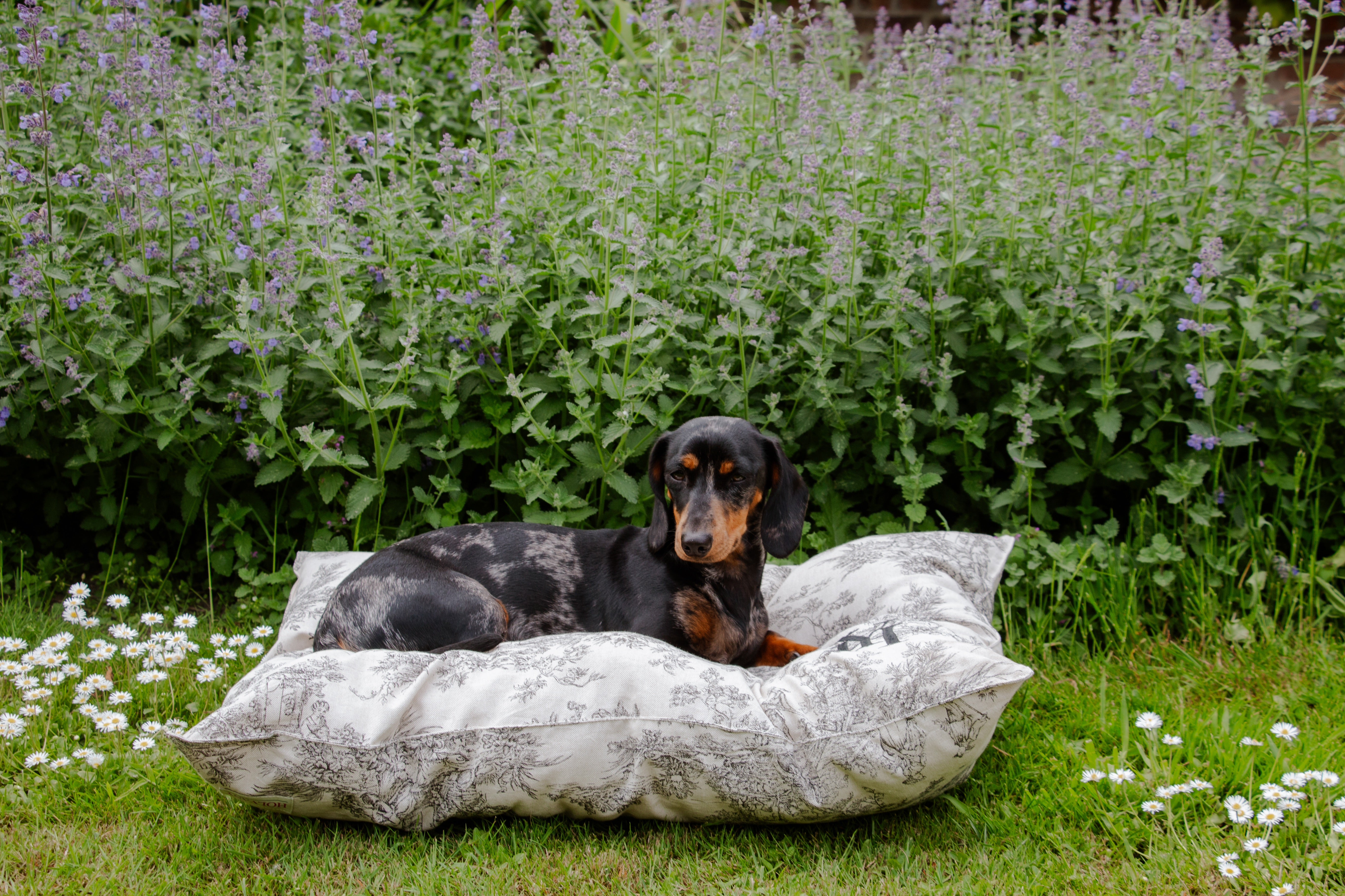 Coussin jouy