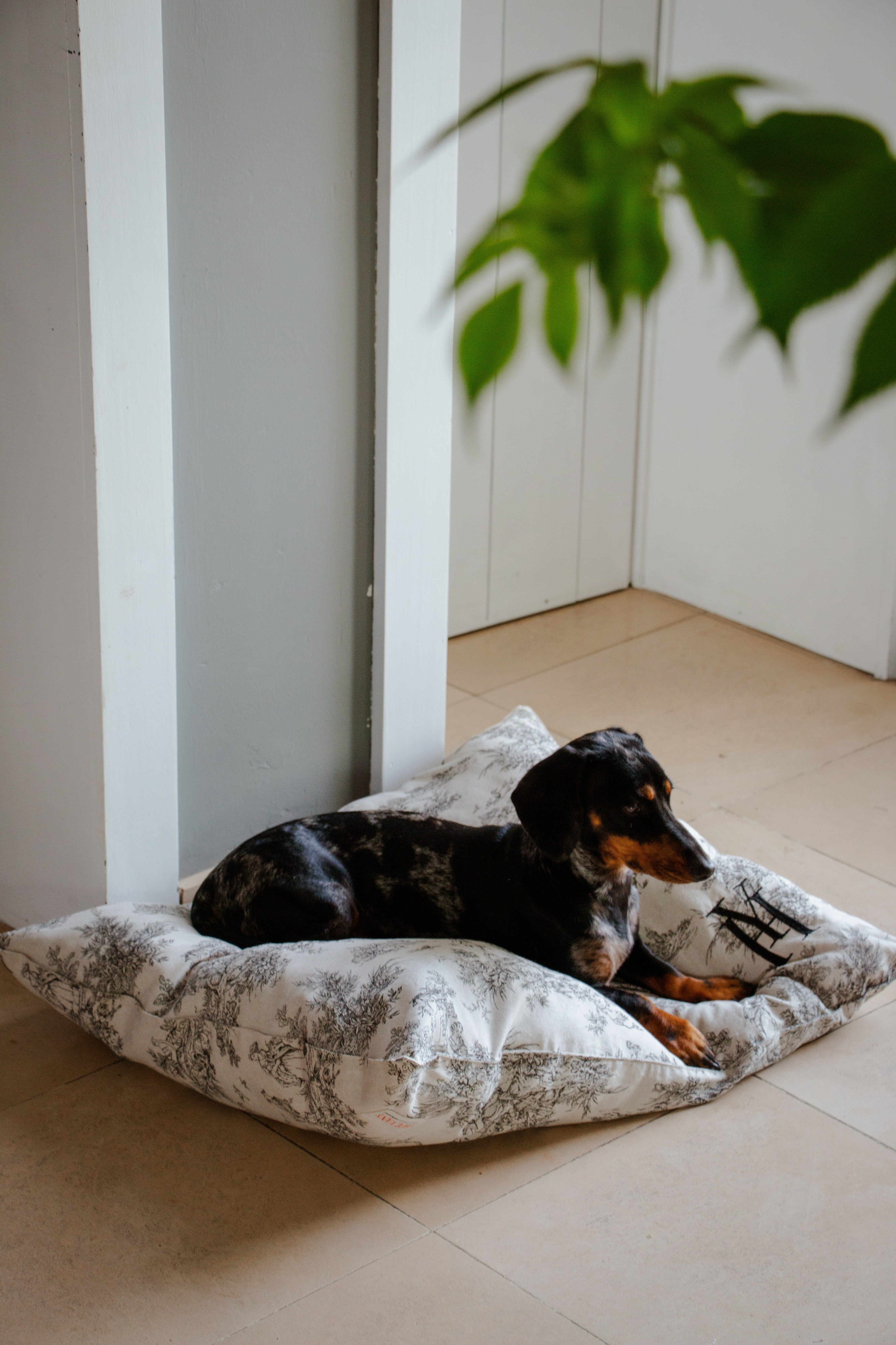 Coussin jouy