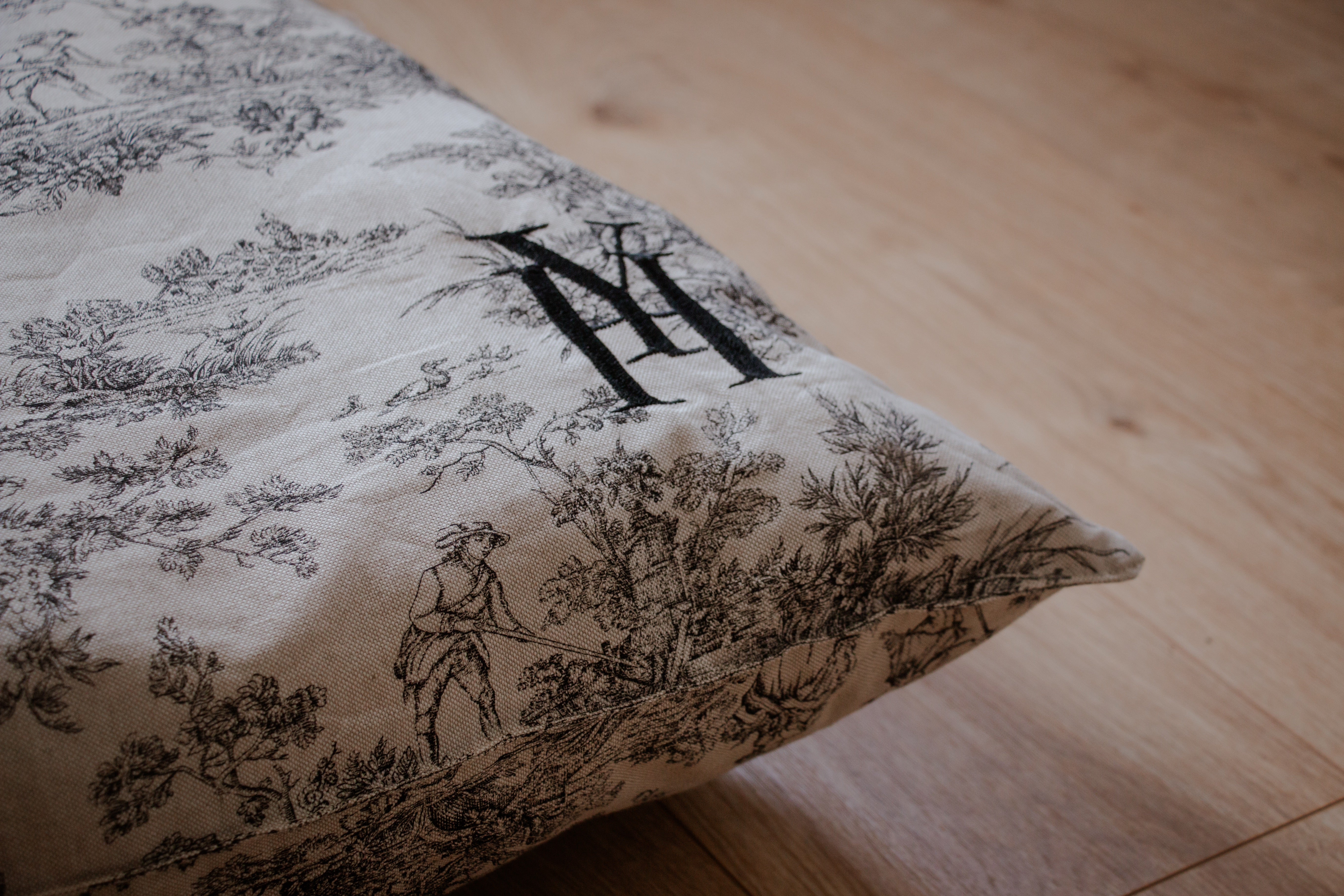 Coussin jouy