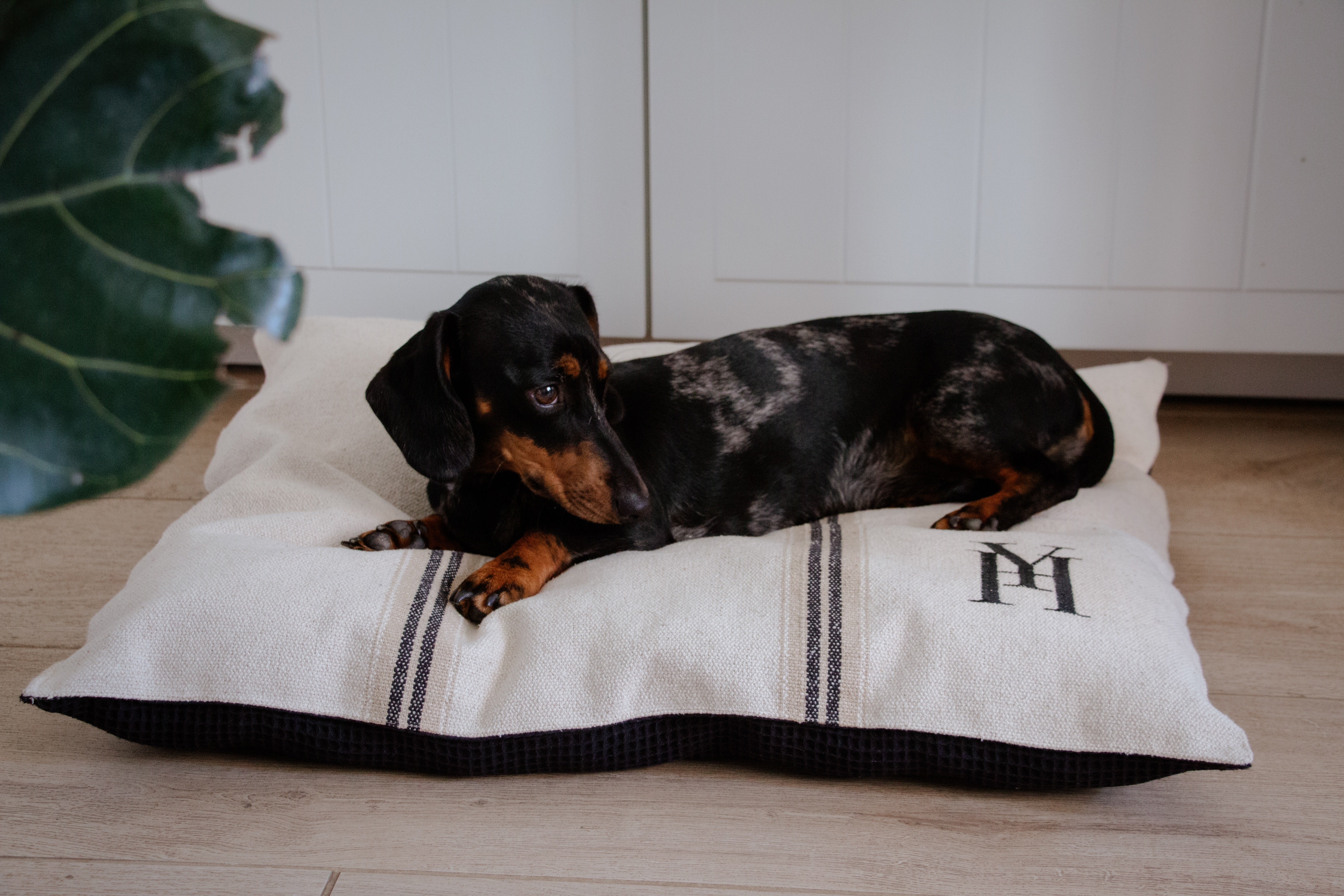 Coussin rayé beige