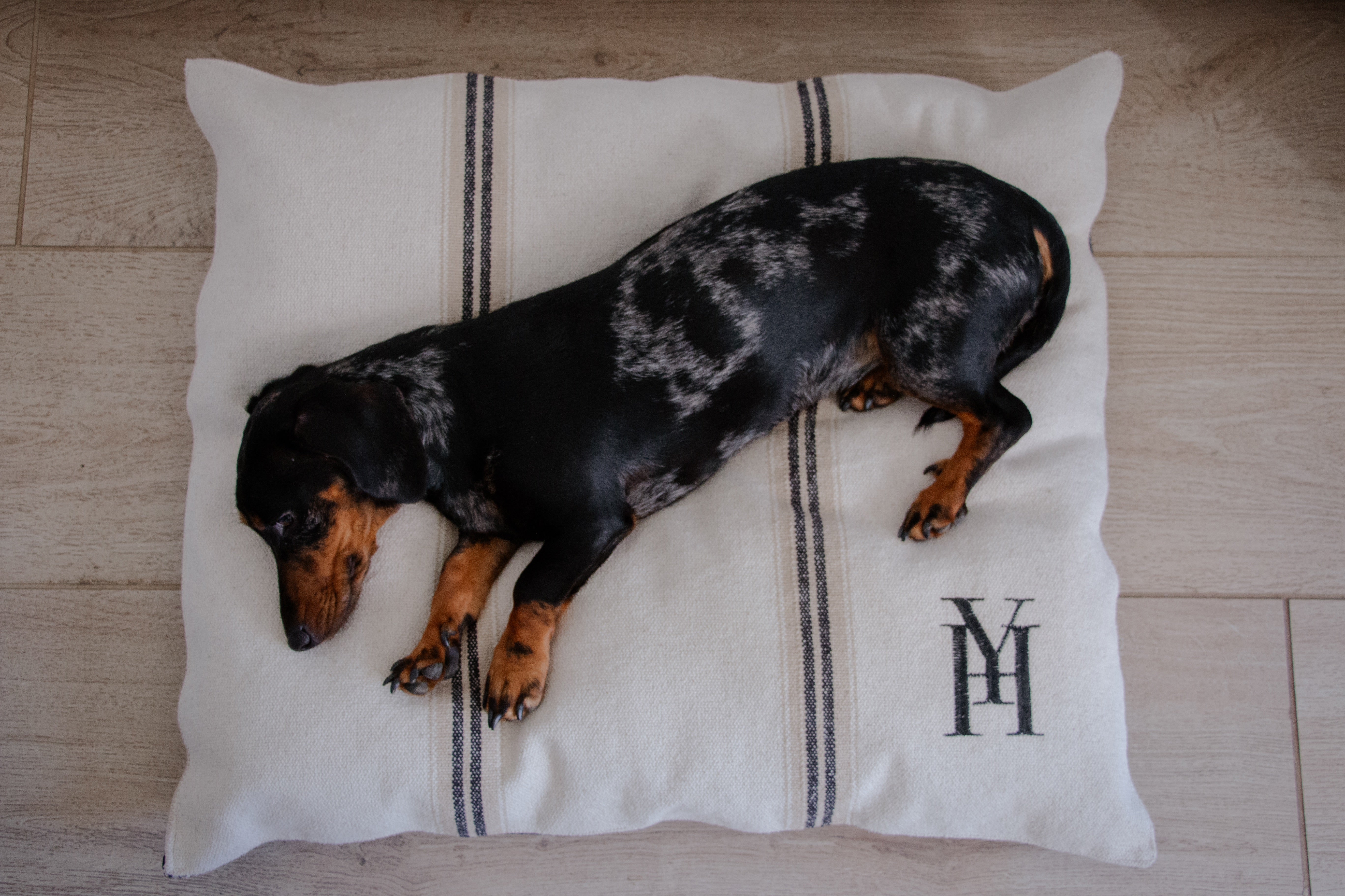 Coussin rayé beige