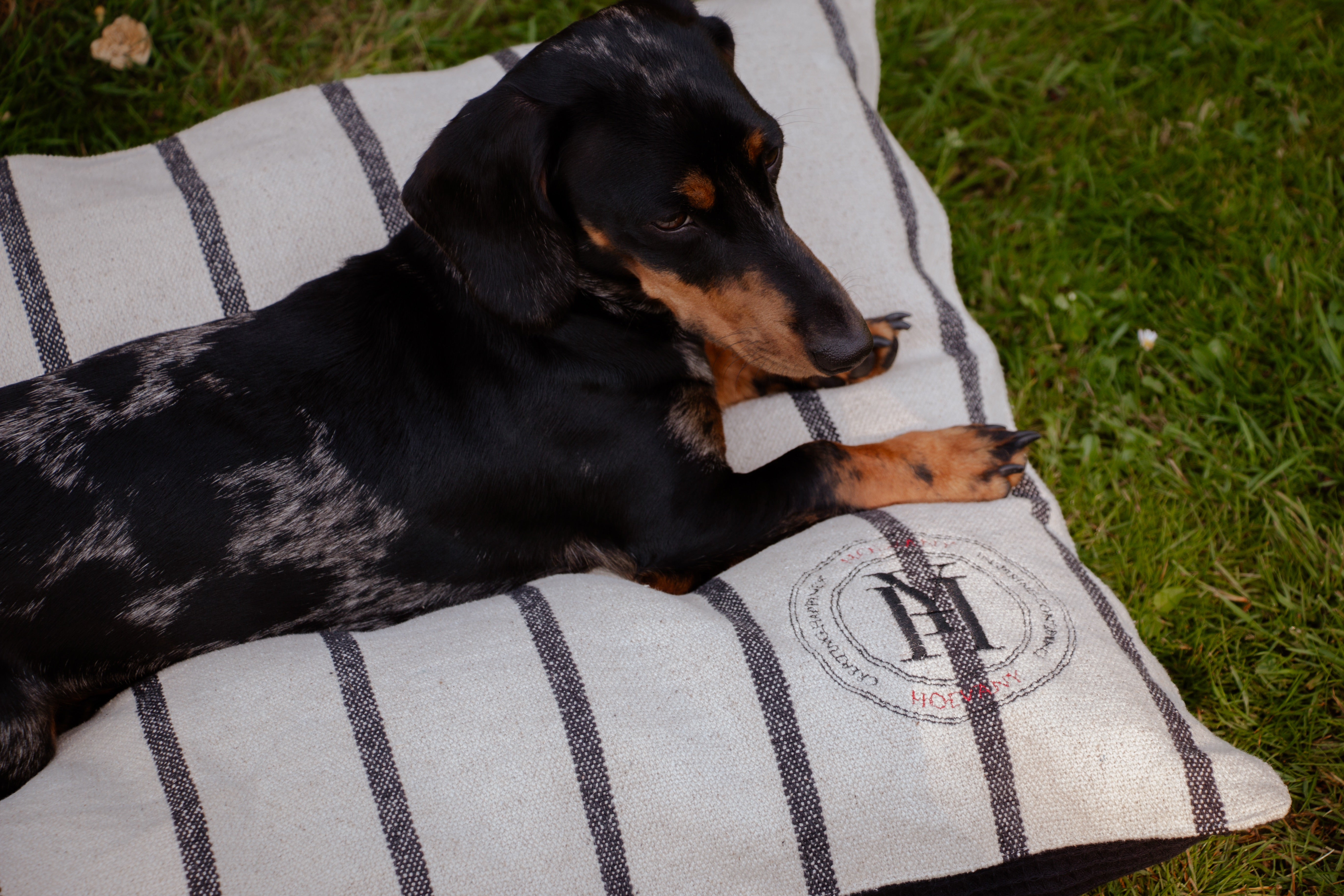 Coussin rayé noir