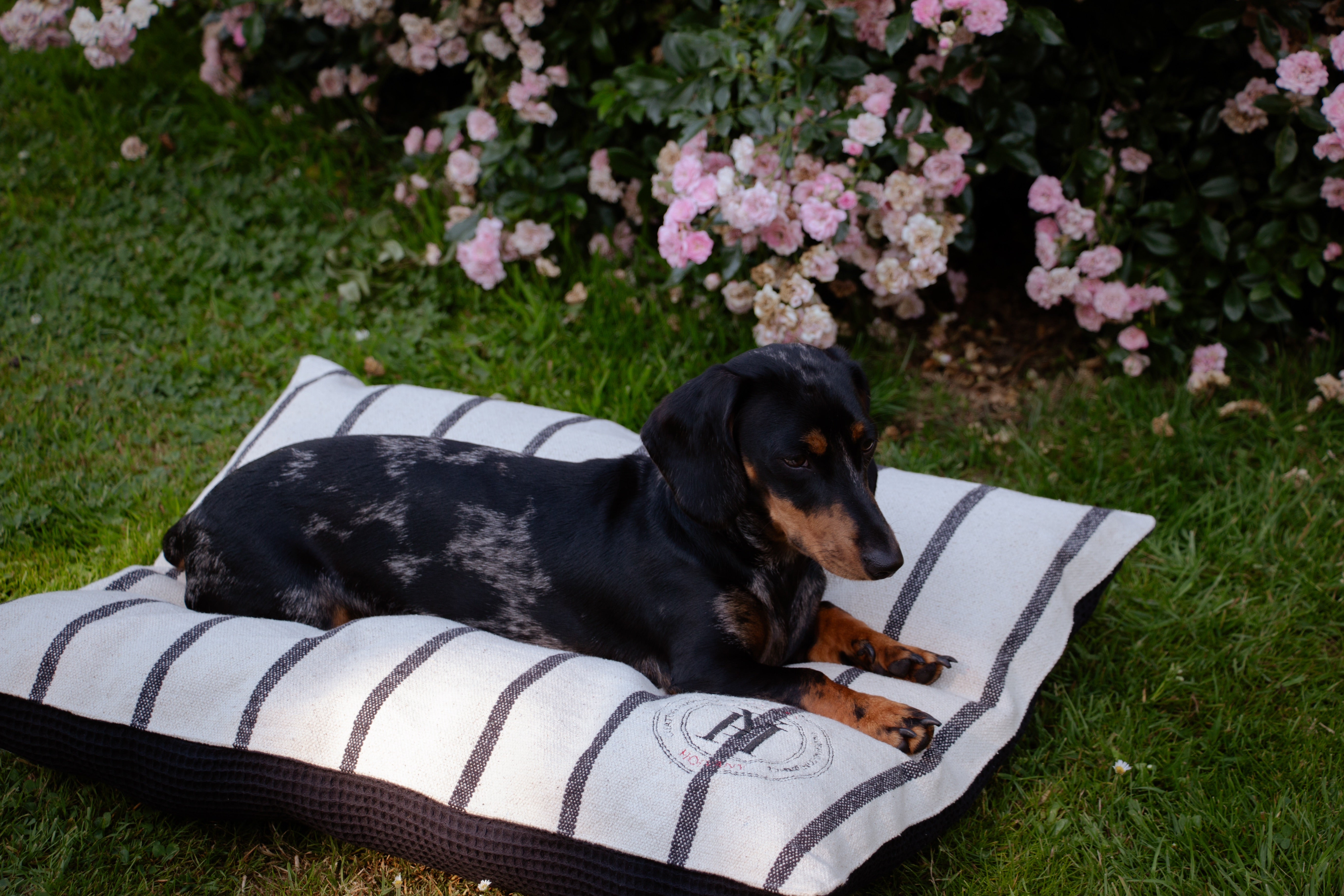 Coussin rayé noir