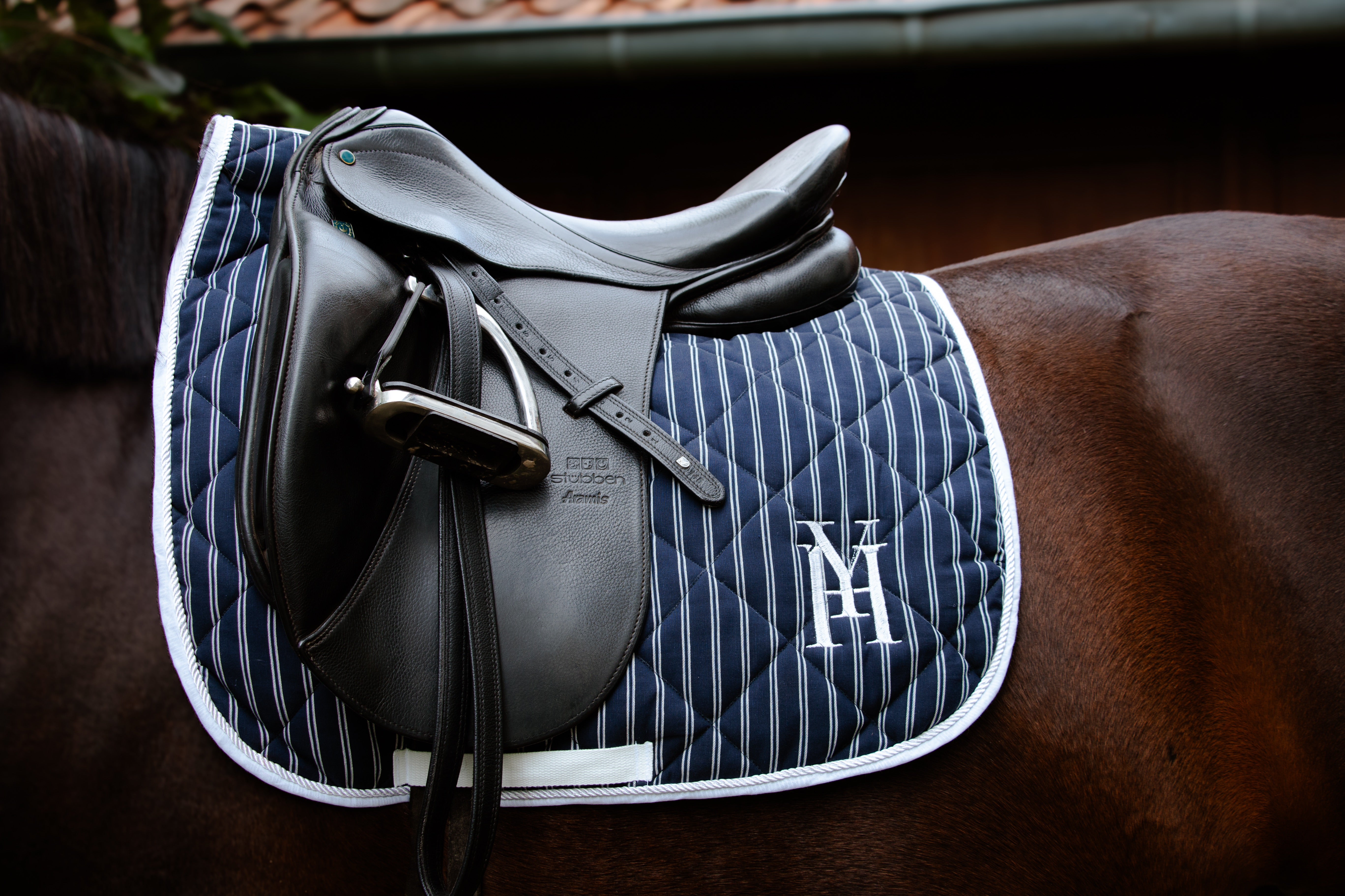 Tapis rayé marine dressage