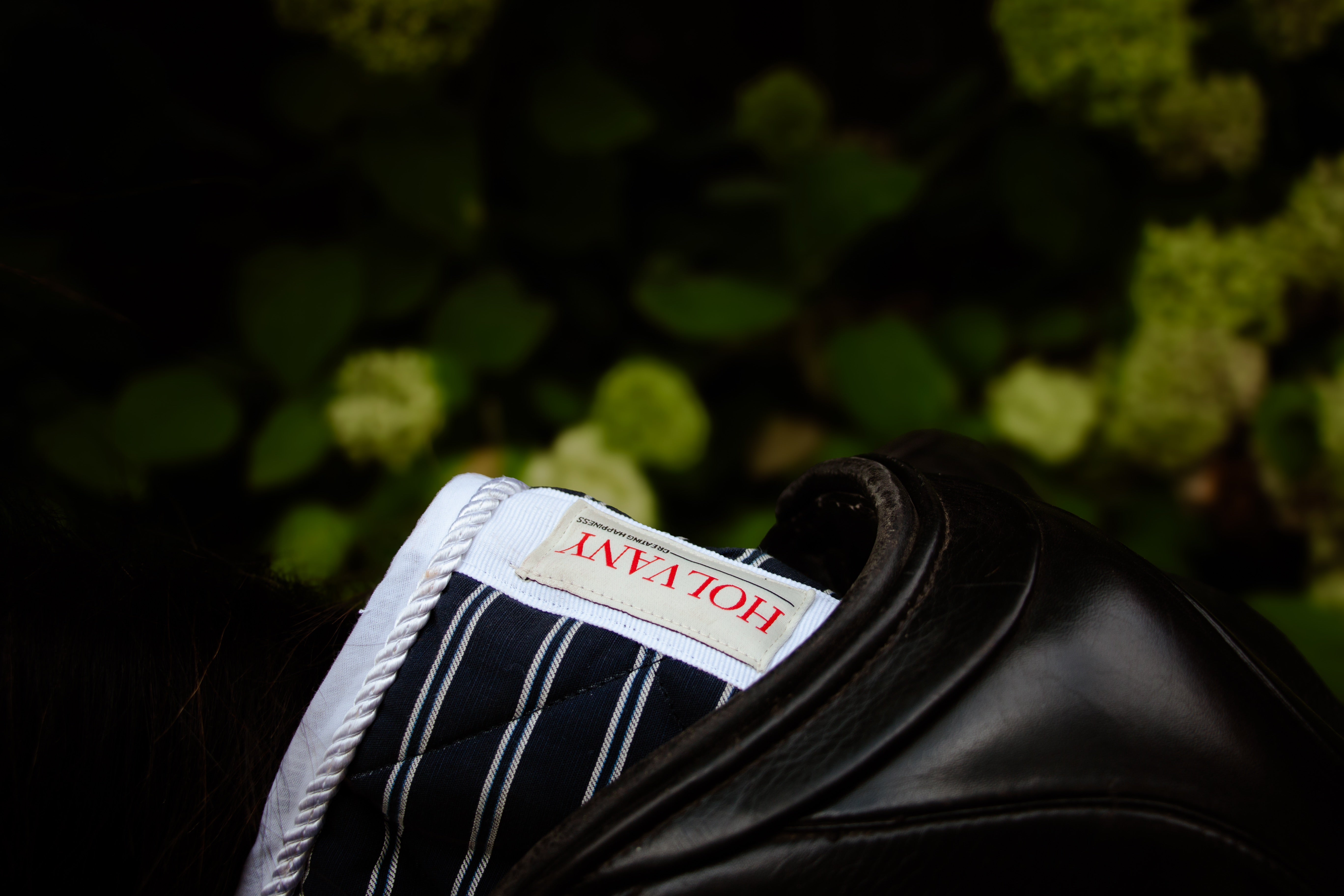 Tapis rayé marine dressage