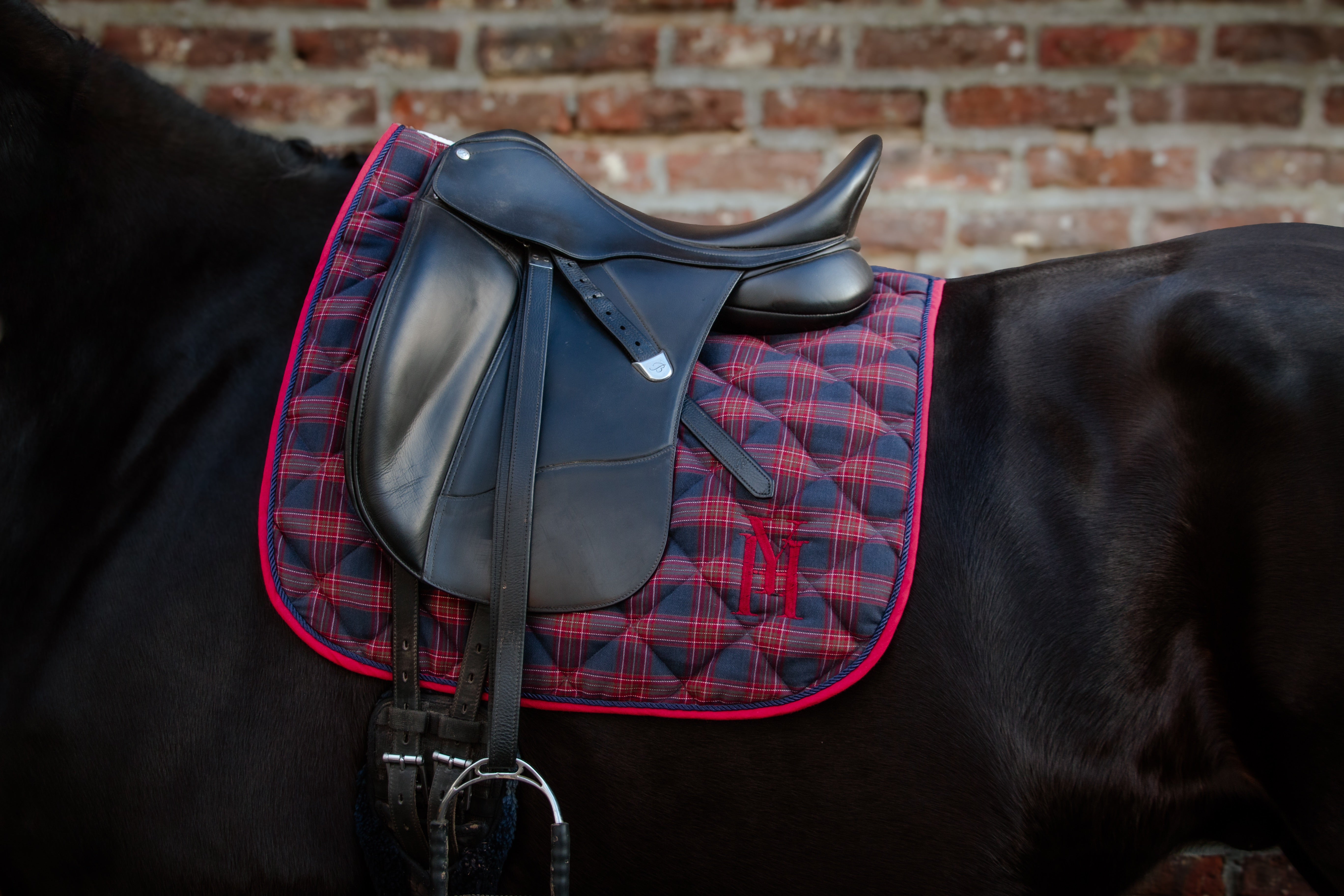 Blue Saddle Pad